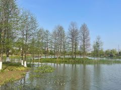 -九科绿洲