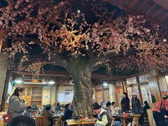-张关合渣(航空大道店)
