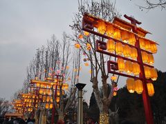 -青龙湖公园