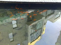 -泉乐坊步行街(烟酒特产平价超市店)