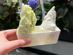 -野人先生Gelato(上海长宁龙之梦店)