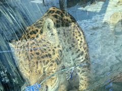 -新疆天山野生动物园