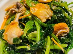 菠菜毛蛤蜊-前海沿·青岛菜(五四广场永旺店)