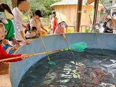 -杭州少年儿童公园