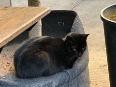 -转山咖啡(松柏社区店)