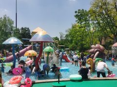 -苏州乐园森林水世界