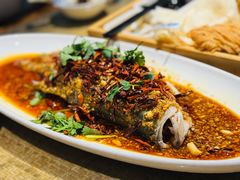 -大张烙馍村·美食地标(泉山店)