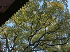 -无锡梅园公园