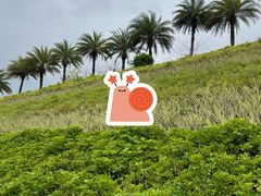 -白石龙音乐公园