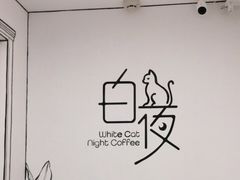 -白夜2D咖啡馆
