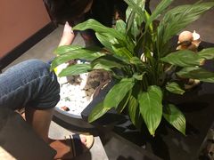 -泰禾馨·泰式按摩精油SPA(华荣大厦店)