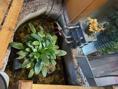 -木槿花韩式炭烤·熟成肉工坊(孙文东路店)