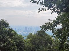 -大蜀山国家森林公园