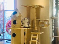 -藏猫猫咖啡主题馆(中央大道店)