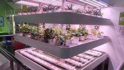 -北京科学中心儿童乐园