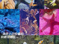 -正佳极地海洋世界