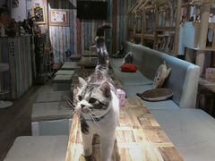 -小时光咖啡馆(开森度假森林店)