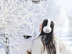 -雾凇岛