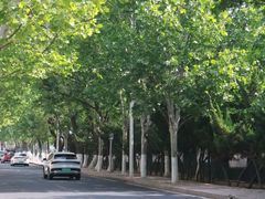 -山东省青岛第二中学(江西路分校)