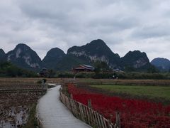 -靖西鹅泉风景区