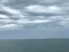 -广东惠东海龟国家级自然保护区