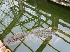 -石家庄市动物园