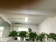 大堂-金粿粿·牛肉粿