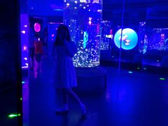 -芜湖新华联大白鲸海洋公园