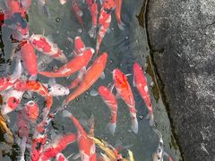 -宁波野生动物园