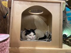 -么么咖啡(燕郊店)