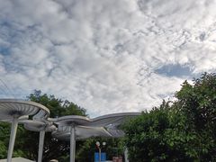 -广州市白云山风景名胜区