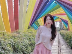 -合肥滨湖国家森林公园