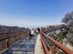 -少华山国家森林公园