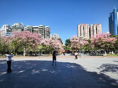 -海港城购物中心