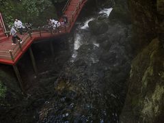 -牛背梁国家森林公园