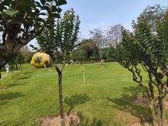 -顺峰山公园