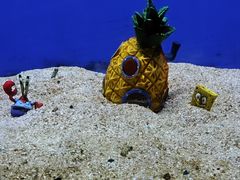 -洛阳龙门海洋馆