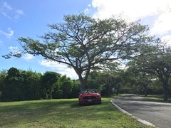 -丽姐租车