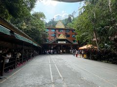 -西双版纳原始森林公园