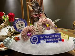 龙趸-尚海豆捞(乐虹坊店)