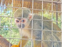 -水上乐园·欢乐世界