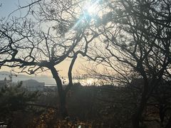 -青岛德国总督楼旧址博物馆