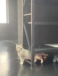 -我舞空间舞蹈培训