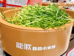 -龍歌自助小火锅(李沧丽达店)