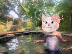 -龙佳生态温泉山庄