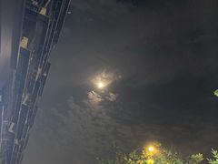 -钱江新城灯光秀