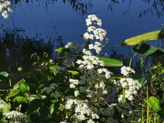 -长兴太湖图影湿地文化园