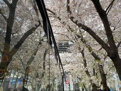 -南浦大桥长途旅游客运站