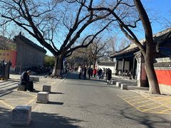 -北京国子监胡同