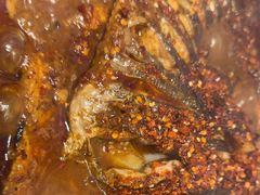 -鱼酷活鱼烤鱼(恒隆广场店)